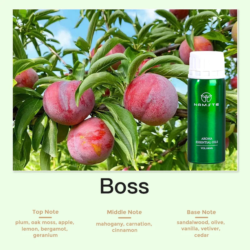 Aroma Diffuser Perfume Fragrance Oil Pure Scented Air Freshener for Scent Diffusers Namste 100ML Essential Oil Diffuser Natural